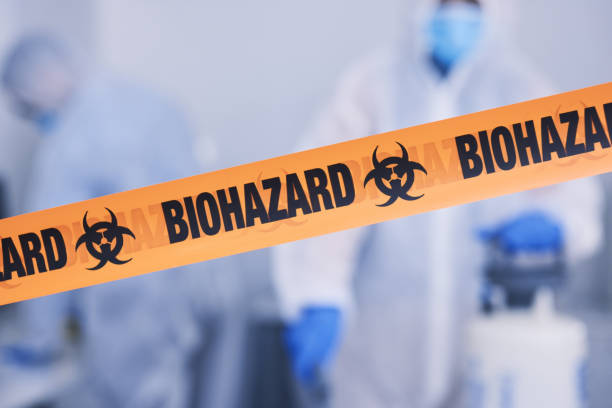 Professional Odor Removal technician working in Blue Jay, CA